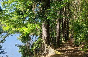 Pod Wieżą u Kory - Foto 17