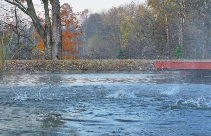 Eagle Lake Cottage - Foto 50