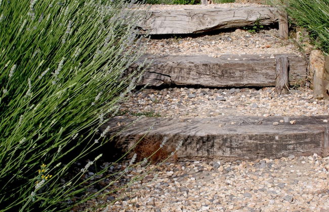 Tenuta Sant'Ilario - Foto 6