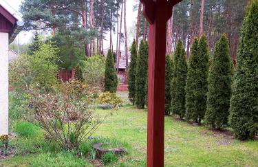 Drzewosfera - Foto 8