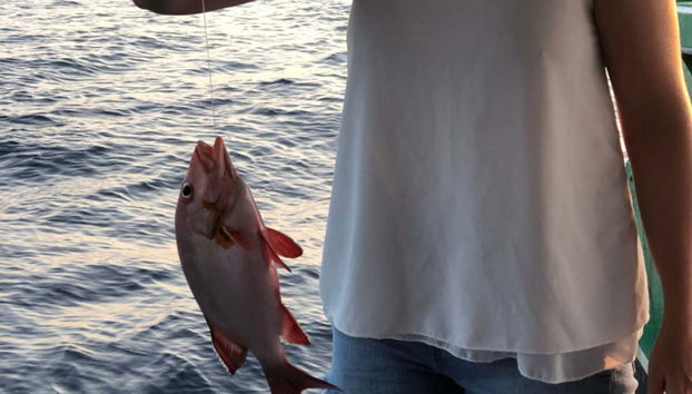 Sunset Fishing Trip in Huraa - Foto 2