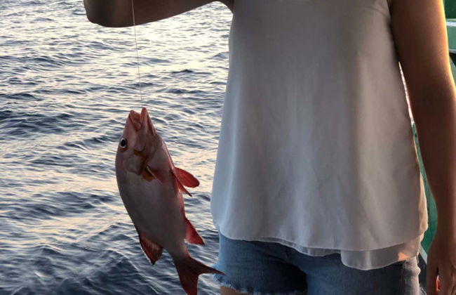 Pesca serale a Dhiffushi - Foto 1