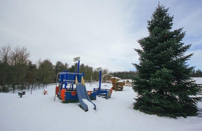 Colliery Cottage - Foto 44