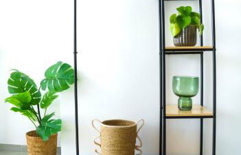 Golden Suite Plaza - Photo 14