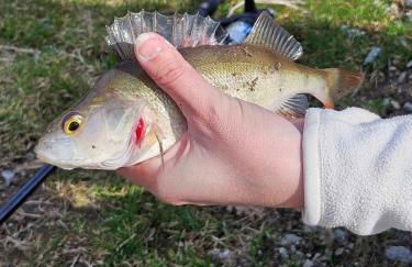 Le fournil à Mïette - Foto 46