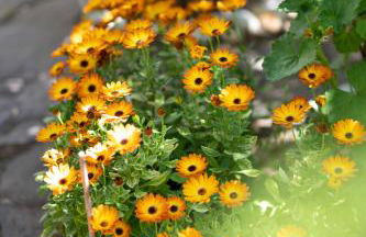 Resonance Experience - Villa Escape Surrounded by Nature & Ancient Sites - Photo 52