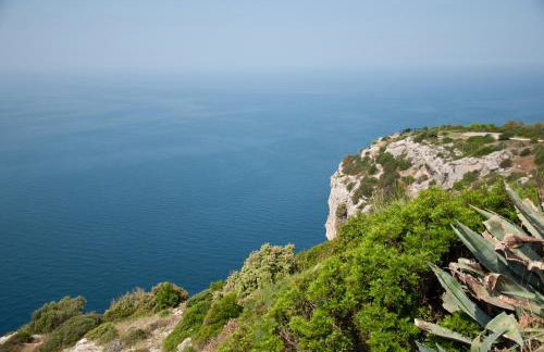 Apartmani Harmonija - Foto 17