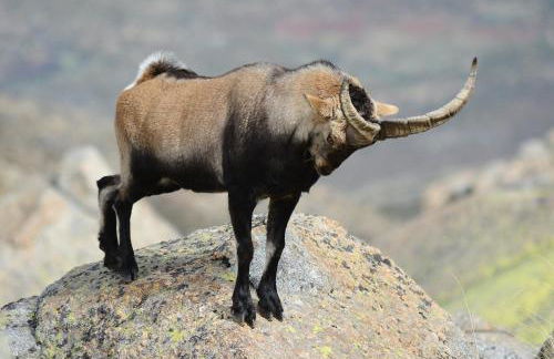 Casa del Altozano - Foto 55