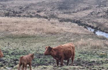 Twin Deer Lodge - Foto 34