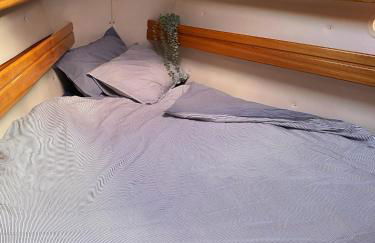 Velero en puerto de valencia - Photo 14