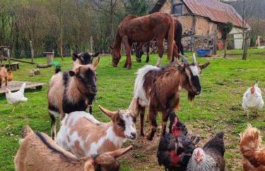 Le Gite du Ranch Normand - Photo 26