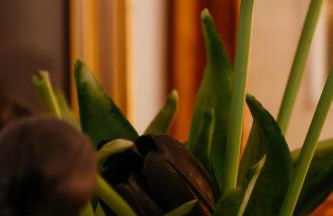 Casa Riad,gioiello del cortiletto - Foto 24