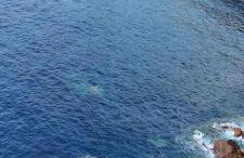 Encuentra el norte en la "Casa del buen camino" - Foto 26