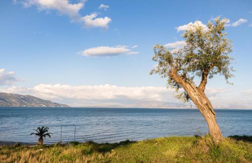 Blue House - Recently renovated - Foto 7