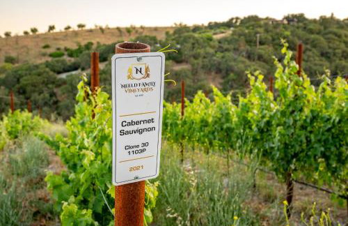 La Maison du Vin - Photo 51