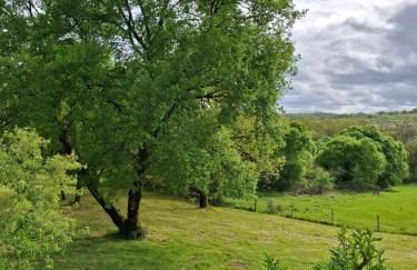 Gîte du Causse Loubressac - Photo 37