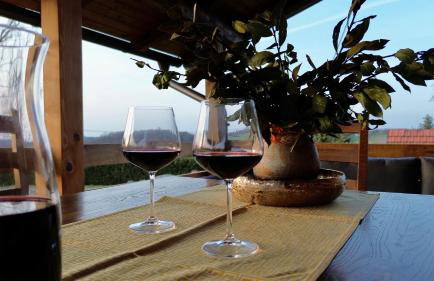 Silver Juglans Holiday Home - Photo 6