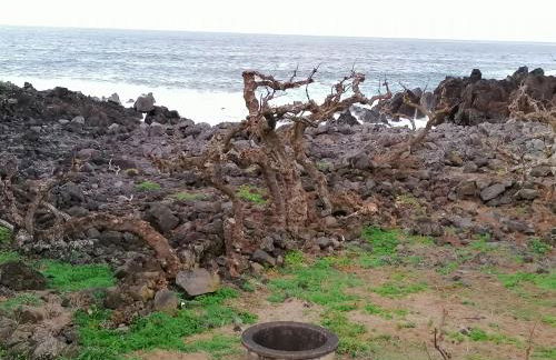 A Casa da Formosinha - Photo 37