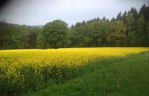 Ferienhaus Napoleon - Foto 44