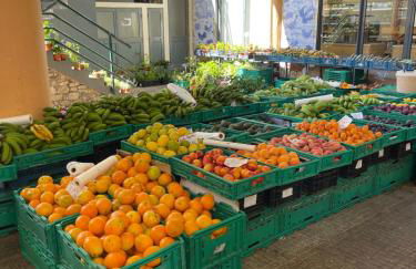 Farinha's Apartment - Foto 29