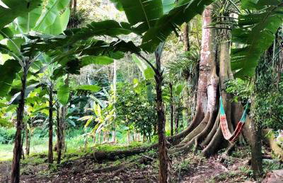 Chalé Suíço Nupcial - Chalés Belo Monte - Sítio Belo Monte - Foto 32