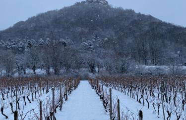 AlbLounge VIP Appartement - Foto 46