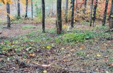 North Star Retreats - Foto 42