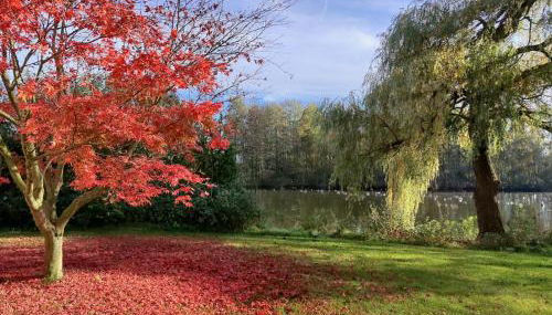 Seehof Reuter Ferienhof - Photo 3, Garden view