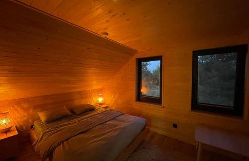 U Progu Lasu - Foto 35