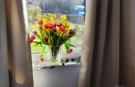 Gemütliches Apartment im Grünen mit Kamin und Klöntür - Foto 9