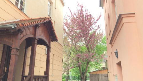 Ferienwohnung in Altstadtnähe - Foto 4