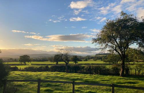 Ludlow Vintage Airstream - Photo 7