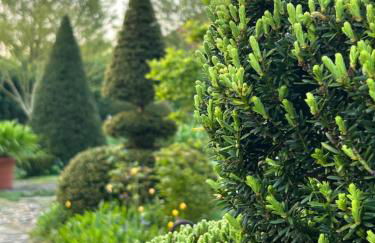 Ferienhaus Altes Gesellenhaus bei Bad Bevensen - Foto 29