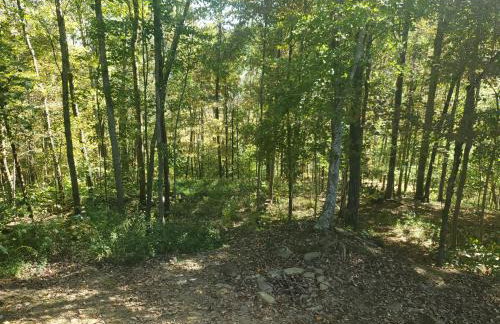 The Genoa - An Amish Built Deluxe Cabin - Foto 13