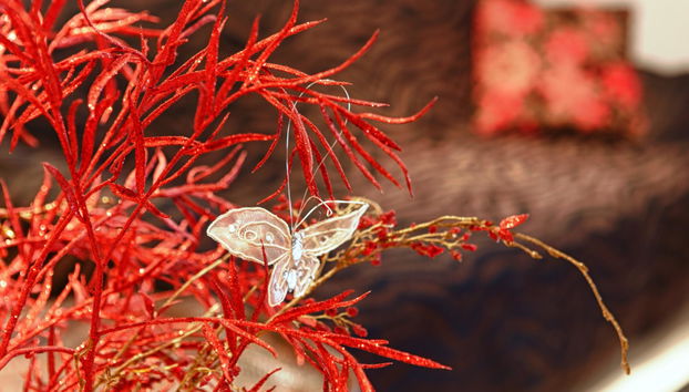 Stella Paradise by Checkin - Foto 3