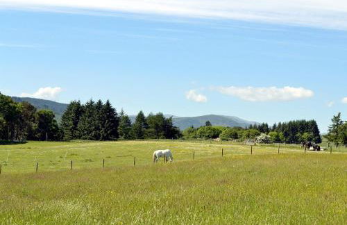 The Wee Cabin - Uk5856 - Photo 1