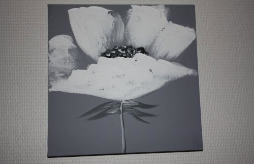 Studio Dijon entre fac hopital et centre - Photo 12