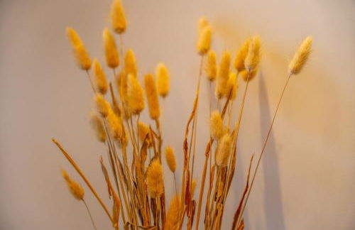 Porto de Gaia - Foto 24