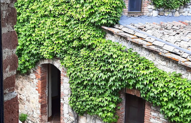 Borgo Livernano - Foto 49