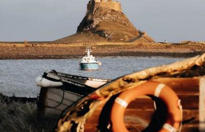 Cheviot Pines Northumberland - Foto 25