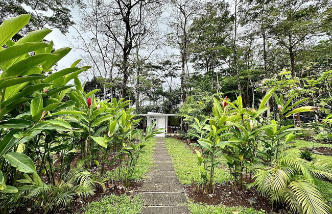 Almendros Eco-Villas - Foto 43