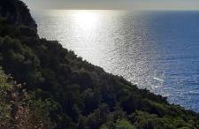 Janis Home - Foto 21