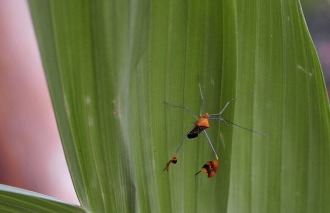 Pura Natura Lodge Arroyo - Foto 46