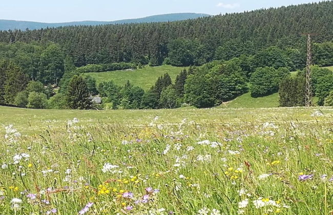 Small and Cozy Apartment in Frauenwald near Forest - Foto 25