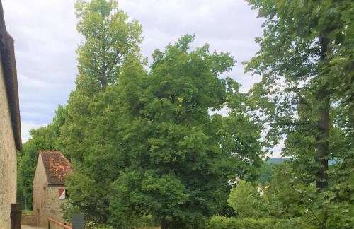 Falkner Turm - Foto 17