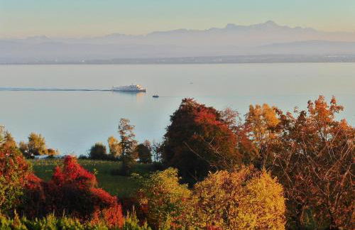 FerienResidenz über'm See - Foto 3