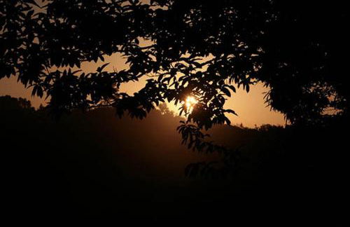 Finca El Zurrador - Foto 31