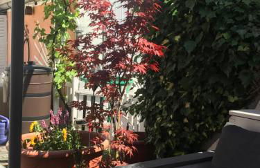 Pension Doreen Nieswand - Foto 5