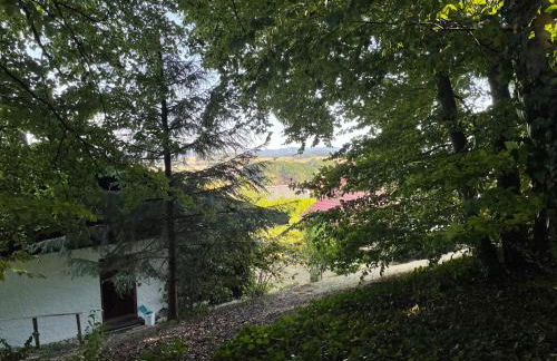 Ferienhaus Eifelblick - Foto 4