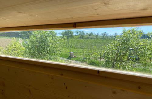 Biolandhof Bodensee - Foto 17